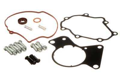 A.Z. MEISTERTEILE Vakuumpumpen-Reparatursatz