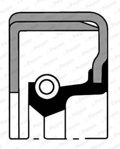 PAYEN Transmission gear seal