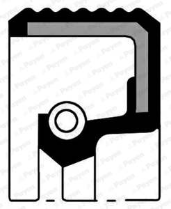 PAYEN Transmission gear seal