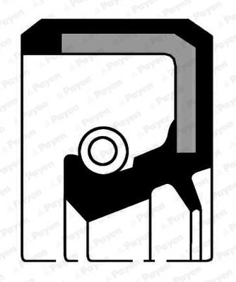 PAYEN Transmission gear seal 10797398 10 pcs/pack.
Height 1 [mm]: 5, Height 2 [mm]: 7, Outer Diameter 1 [mm]: 25,4, Inner Diameter 1 [mm]: 15, Material: NBR (nitrile butadiene rubber), Dust Cover: with dust lip
