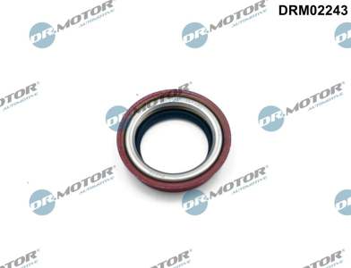 DR.MOTOR AUTOMOTIVE Wellendichtring, Differential