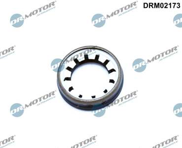 DR.MOTOR AUTOMOTIVE Wellendichtring, Differential