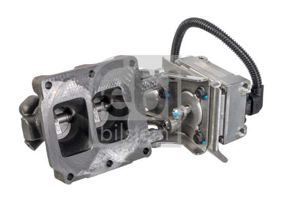 SWAG/FEBI EGR valve 11095812 Observe service information: 1.