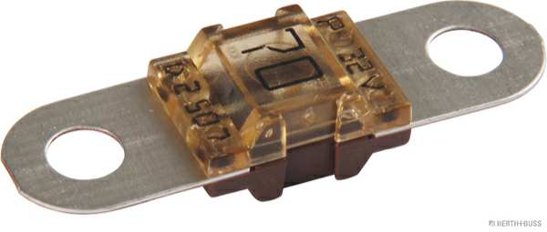 ELPARTS Fuse 927187 Fuse Type: Bolt Type Fuse, MIDI Fuse, Current Strength [A]: 70, Voltage to [V]: 32, Bolt Distance [mm]: 30, Bolt Head Diameter [mm]: 5, DIN/ISO: 8820-5, JASO D612, Colour: brown 1.