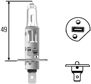 HELLA Bulb 314658 Halogen, headlamp, H1, 100W
Voltage [V]: 12, Rated Power [W]: 55, Lamp Type: H1, Registration Type: ECE approved, Light Design: Halogen, Packing Type: Box, Socket Type bulb: P14.5s, Assy./disassy. by qualified personnel required!:
Cannot be taken back for quality assurance reasons! 1.