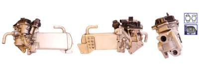DRI EGR valve