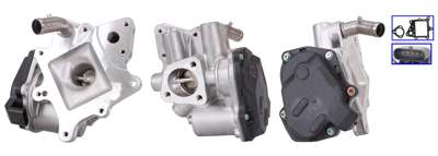 DRI EGR valve