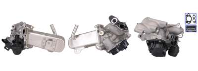 DRI EGR valve