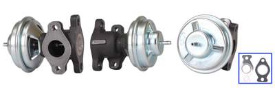 DRI EGR valve