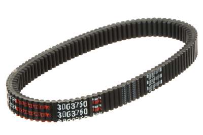 GATES Drive belt