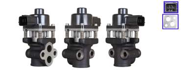 DRI EGR valve