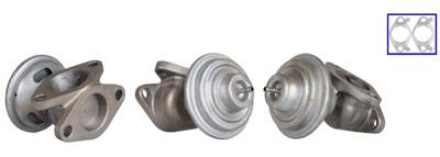 DRI EGR valve