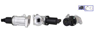 DRI EGR valve