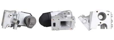 DRI EGR valve