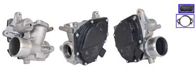 DRI EGR valve