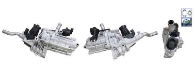 DRI EGR valve