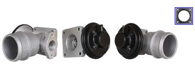 DRI EGR valve