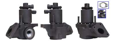 DRI EGR valve