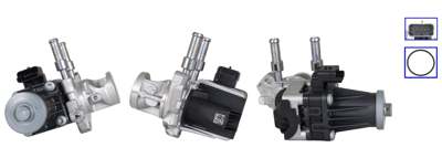 DRI EGR valve