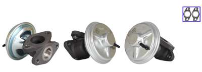 DRI EGR valve