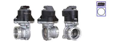 DRI EGR valve