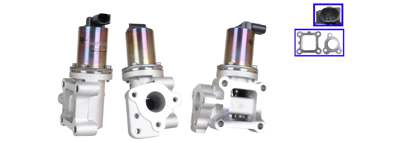 DRI EGR valve