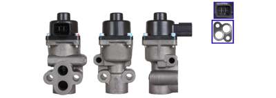 DRI EGR valve