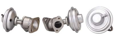 DRI EGR valve