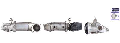DRI EGR valve