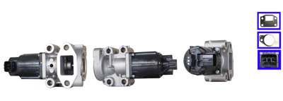 DRI EGR valve