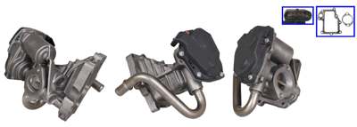 DRI EGR valve