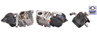 DRI EGR valve