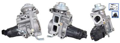 DRI EGR valve