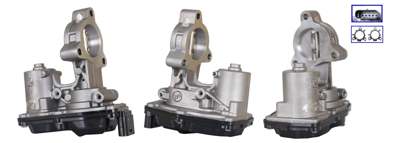 DRI EGR valve
