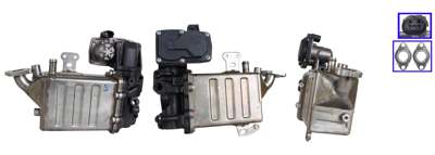 DRI EGR valve