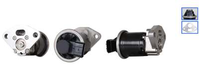 DRI EGR valve