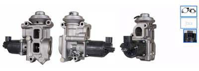 DRI EGR valve