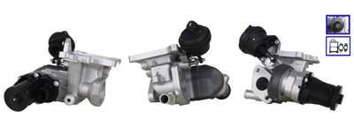 DRI EGR valve
