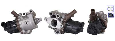 DRI EGR valve