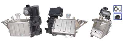 DRI EGR valve