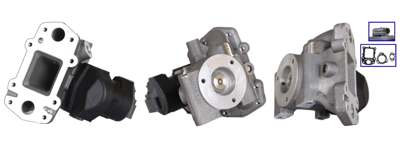 DRI EGR valve