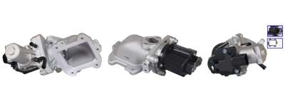 DRI EGR valve