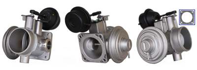 DRI EGR valve