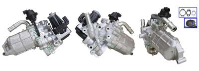DRI EGR valve
