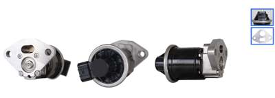 DRI EGR valve