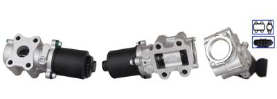 DRI EGR valve