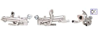 DRI EGR valve