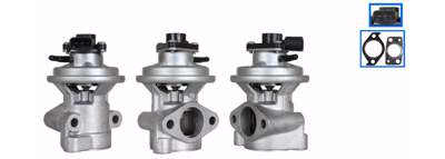 DRI EGR valve