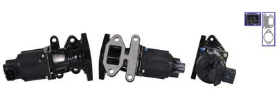 DRI EGR valve