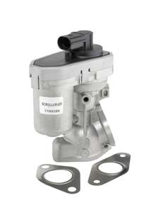 WAHLER EGR valve